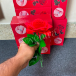 Red Rose Finger Ring & Nose Pin Box